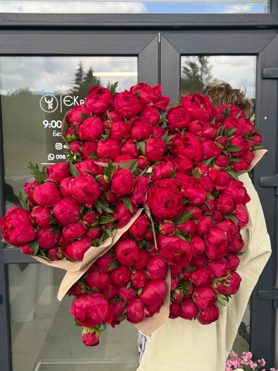 Піон