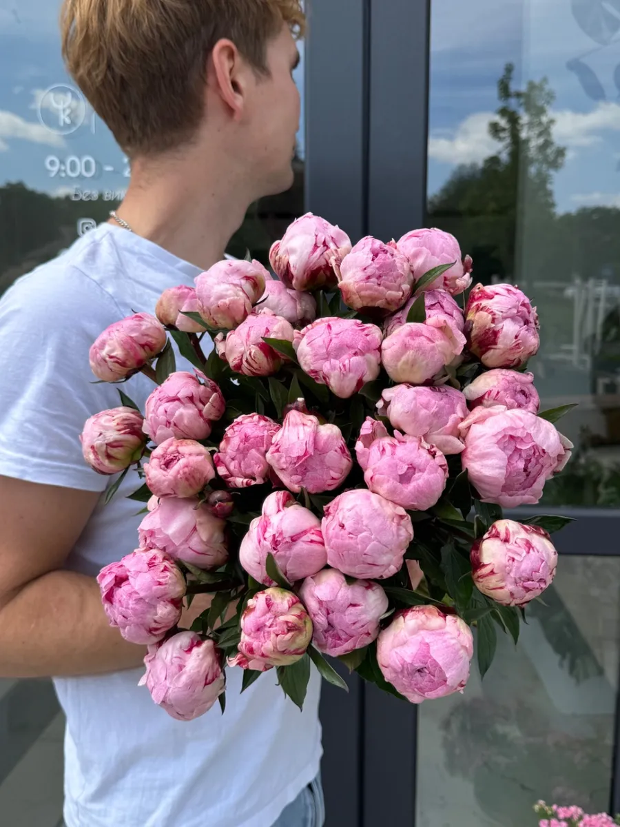 Півонії